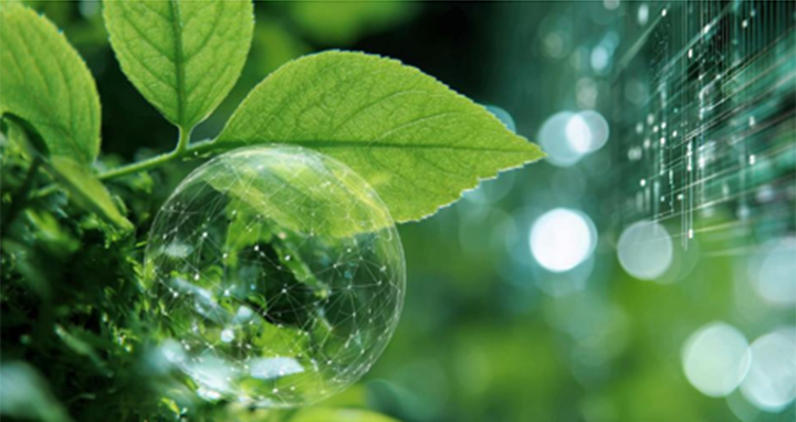 Botanical X Technology